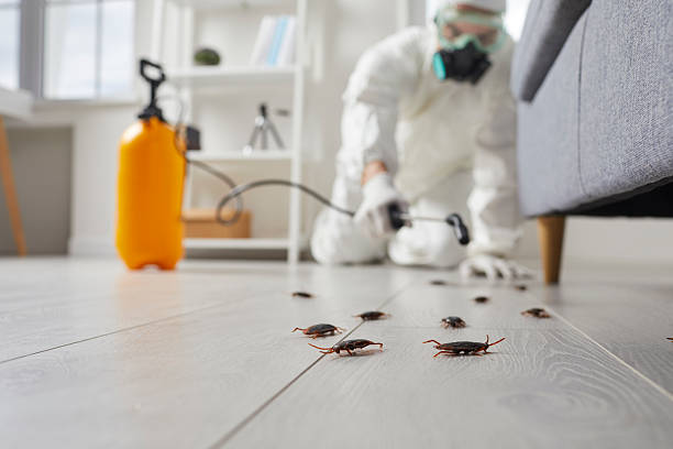Commercial Kitchen Cockroach Control in Vernon Center